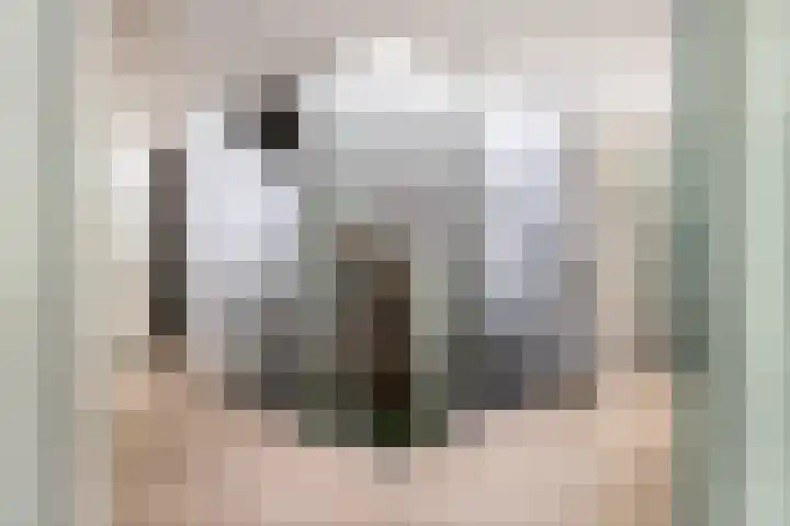 Engelenburgerlaan 27 Brummen thumbnail 8