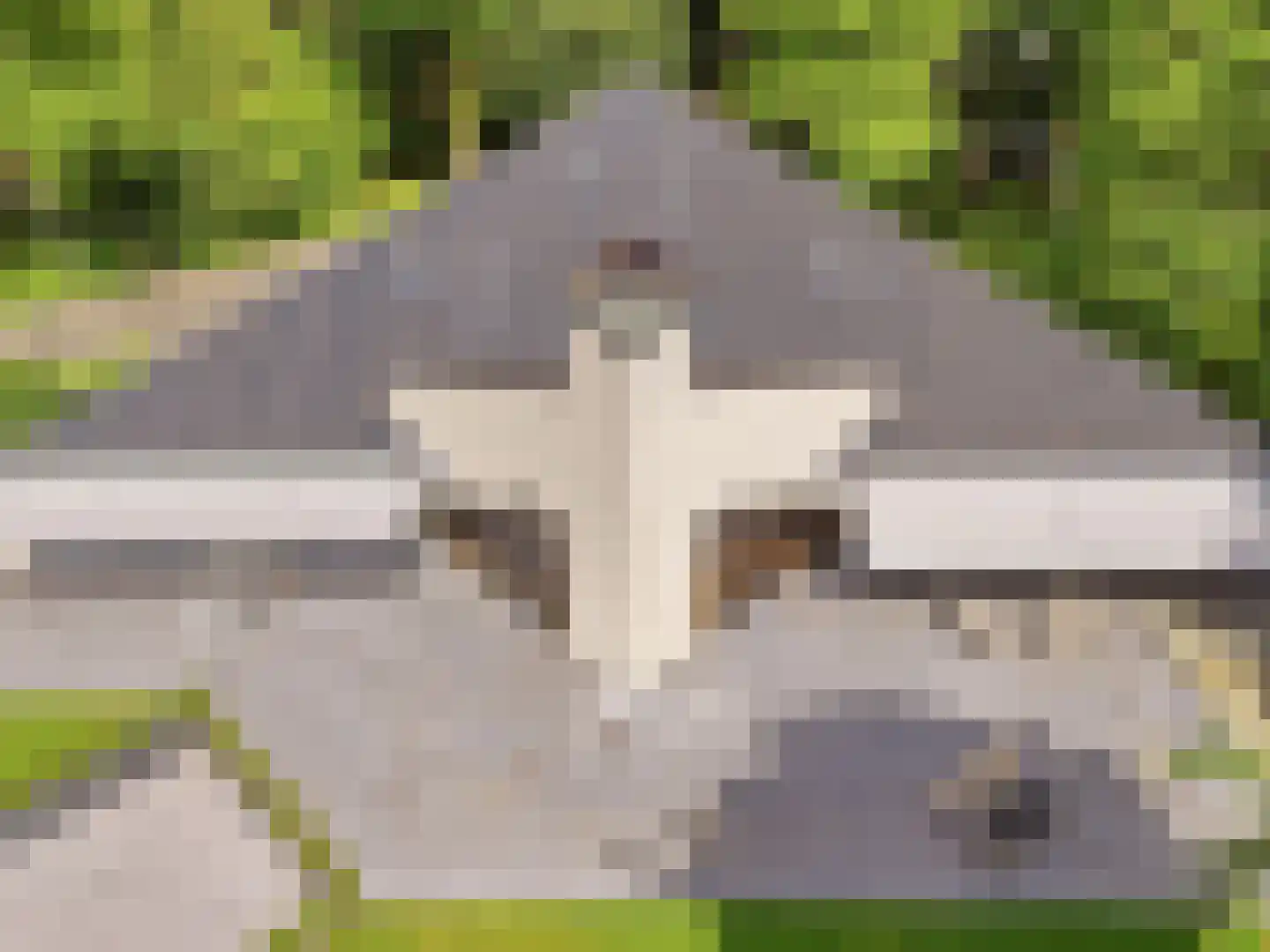 Engelenburgerlaan 27 Brummen thumbnail 80