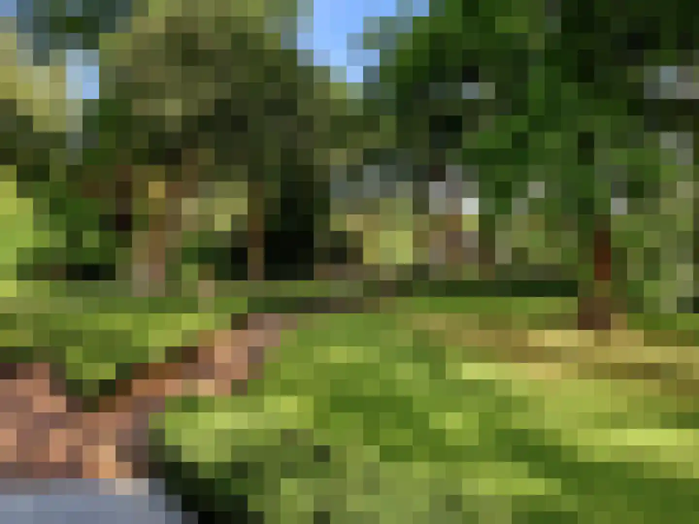 Engelenburgerlaan 27 Brummen thumbnail 84