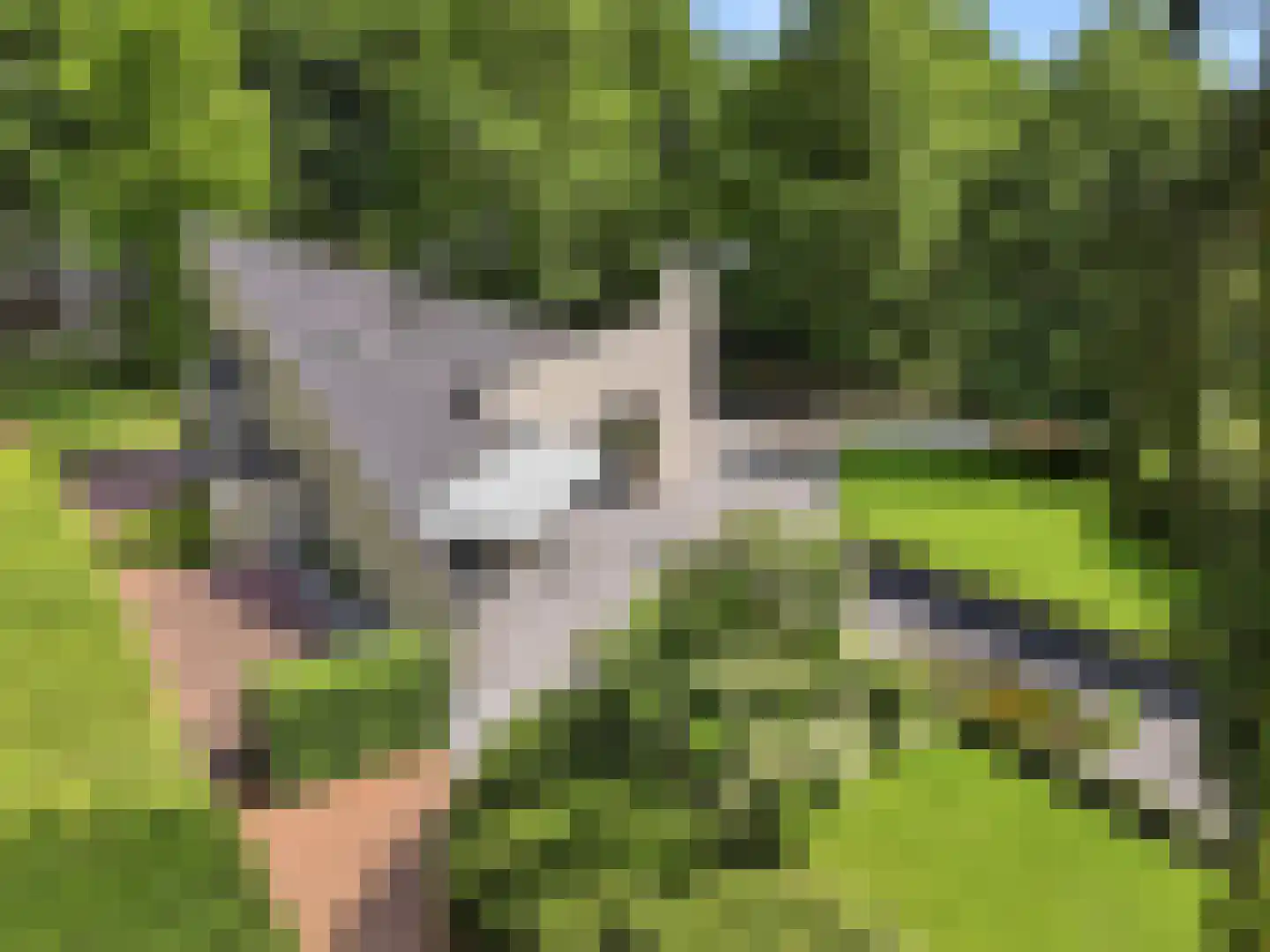 Engelenburgerlaan 27 Brummen thumbnail 87