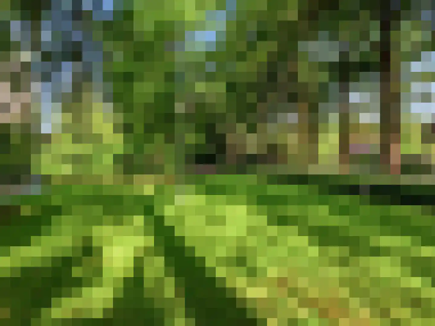 Engelenburgerlaan 27 Brummen thumbnail 88