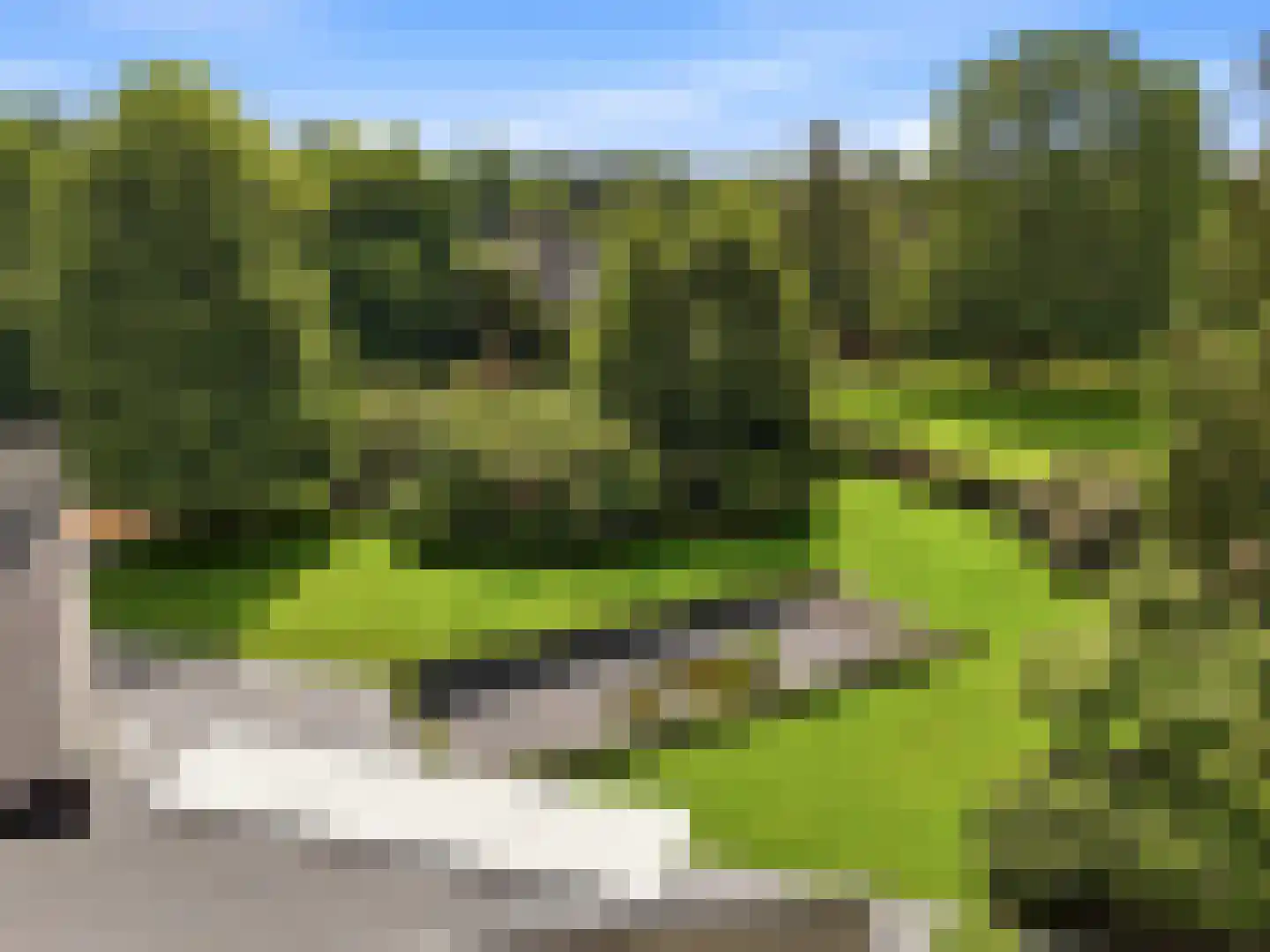 Engelenburgerlaan 27 Brummen thumbnail 88