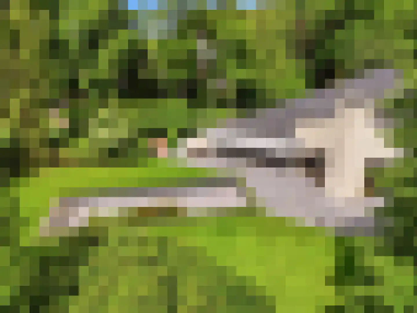 Engelenburgerlaan 27 Brummen thumbnail 89