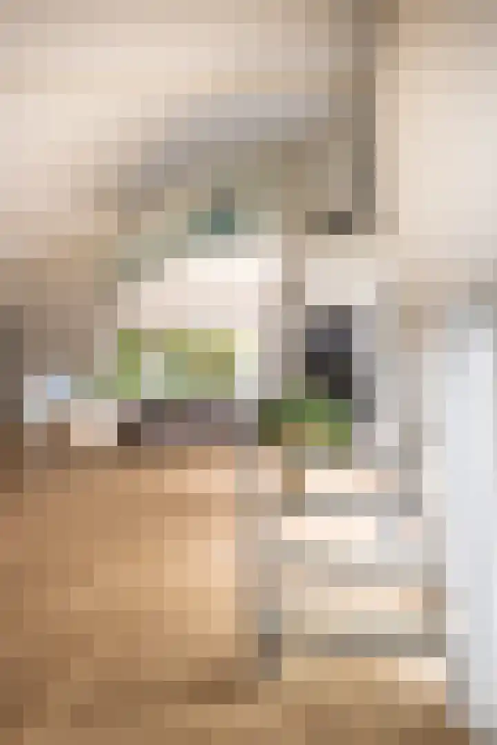 Engelenburgerlaan 27 Brummen thumbnail 9