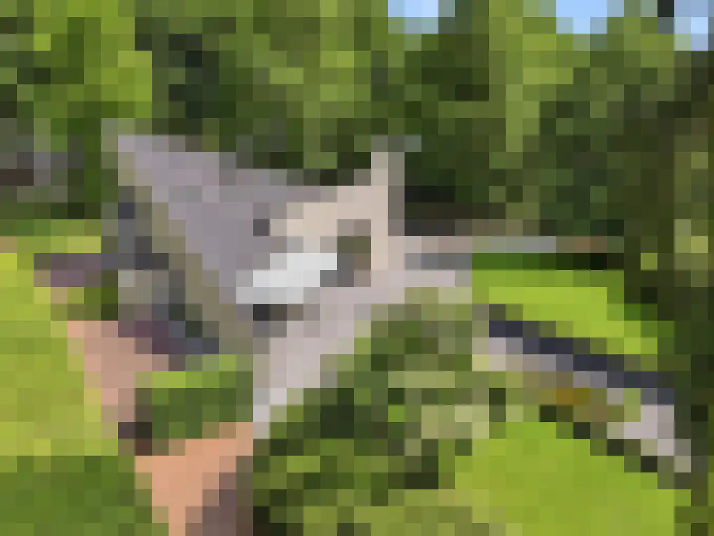 Engelenburgerlaan 27 Brummen thumbnail 90