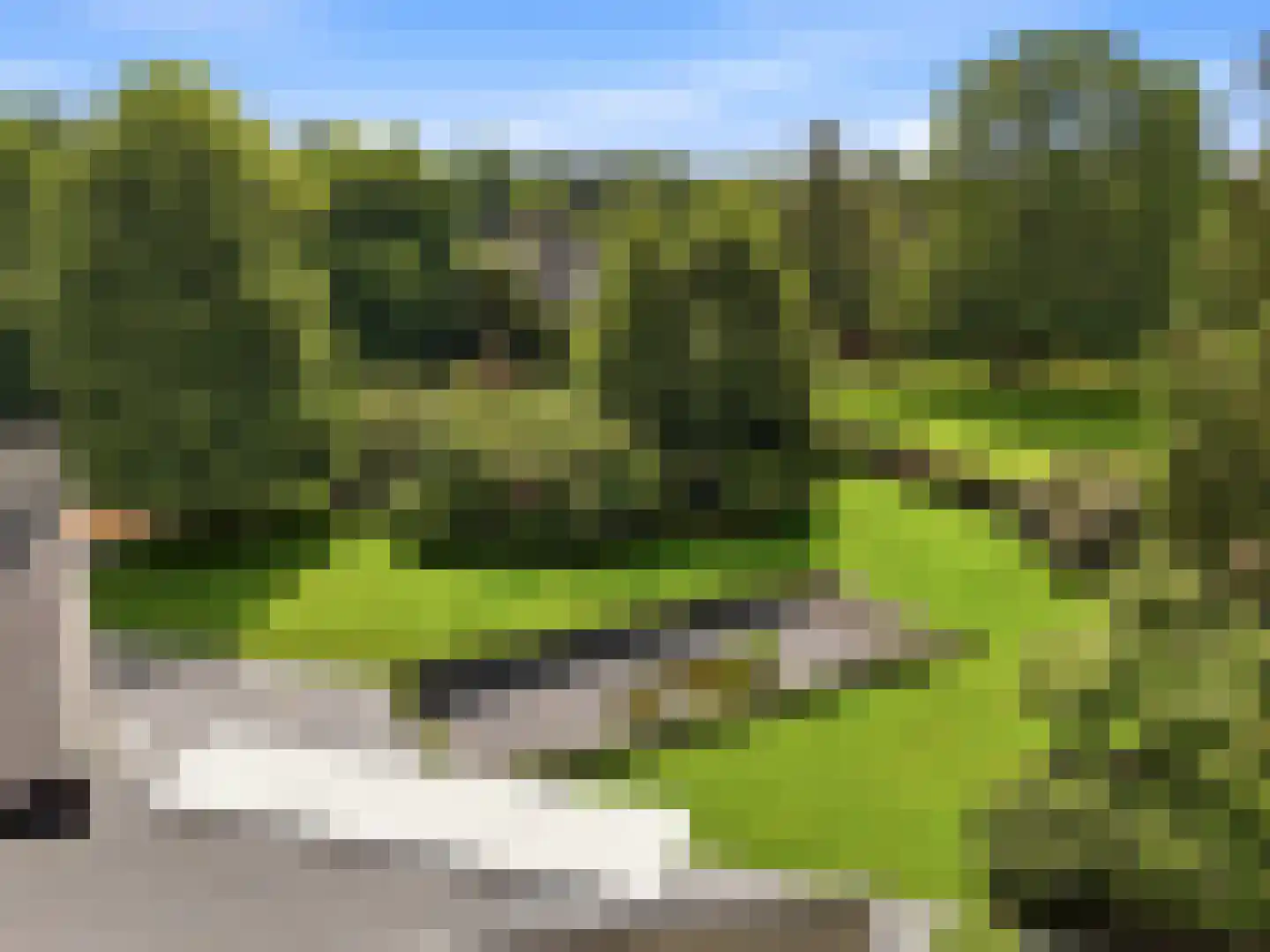 Engelenburgerlaan 27 Brummen thumbnail 91