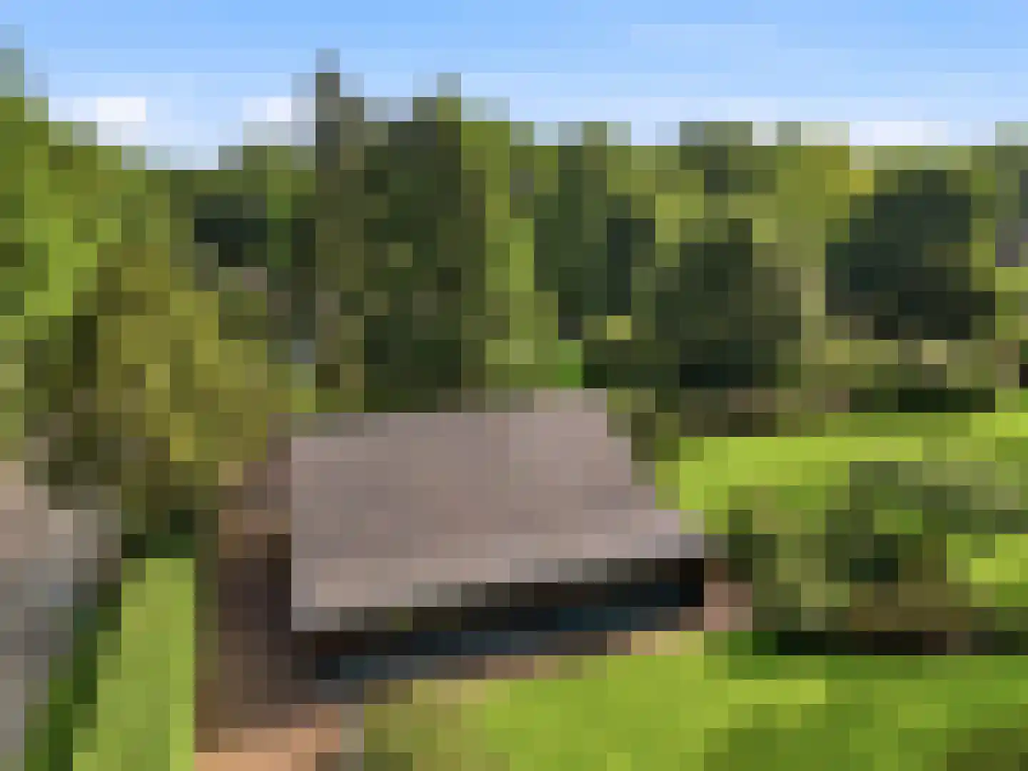 Engelenburgerlaan 27 Brummen thumbnail 92