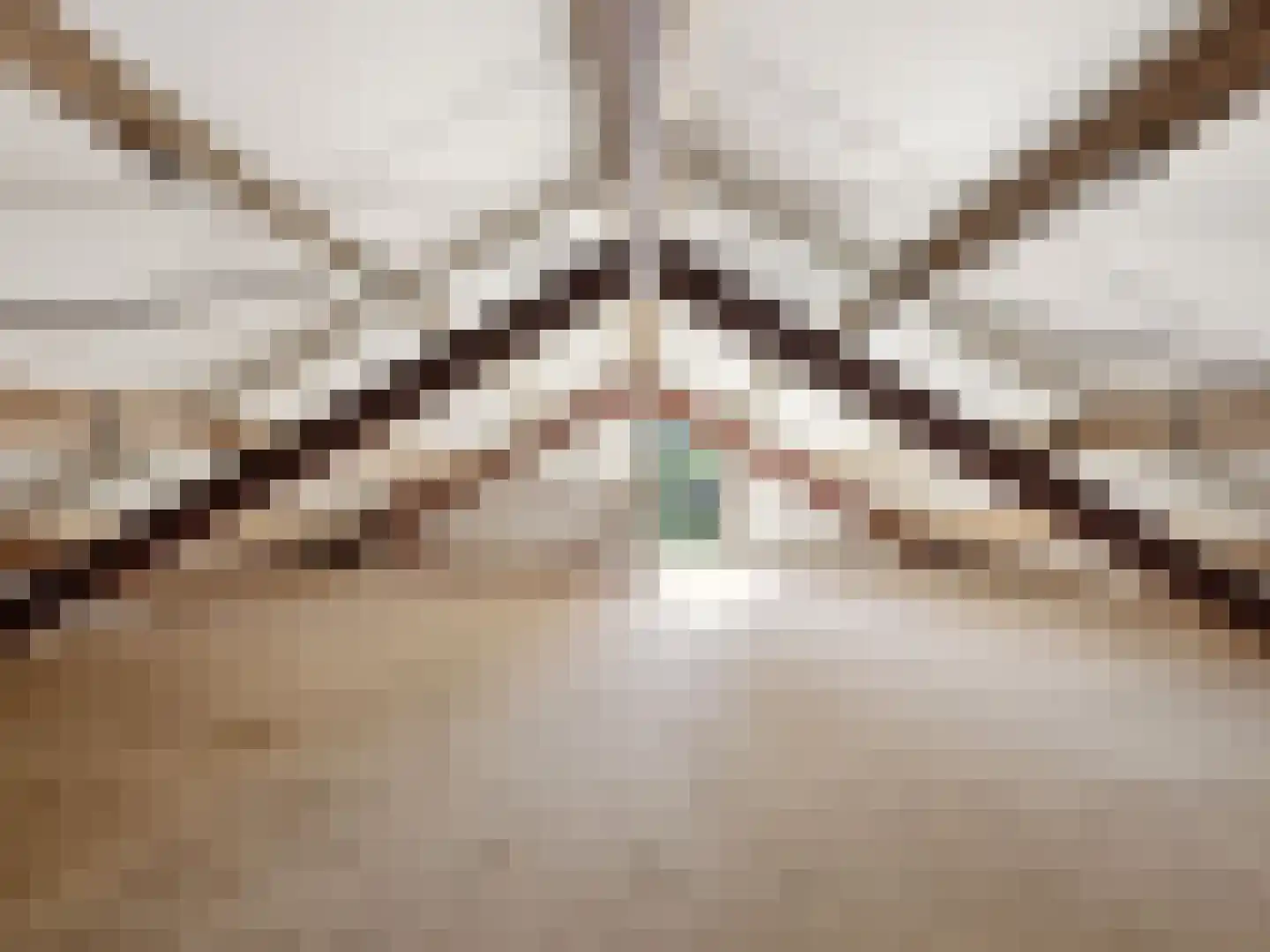 Engelenburgerlaan 27 Brummen thumbnail 93