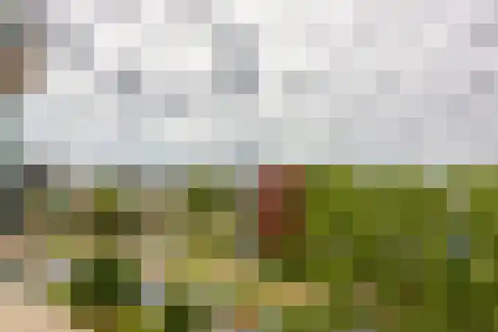 Engelendaal 100 Leiderdorp thumbnail 14
