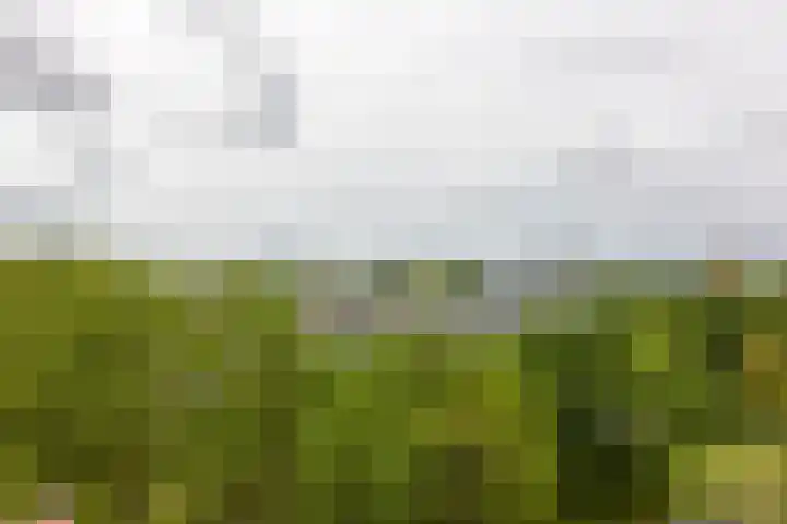 Engelendaal 100 Leiderdorp thumbnail 15