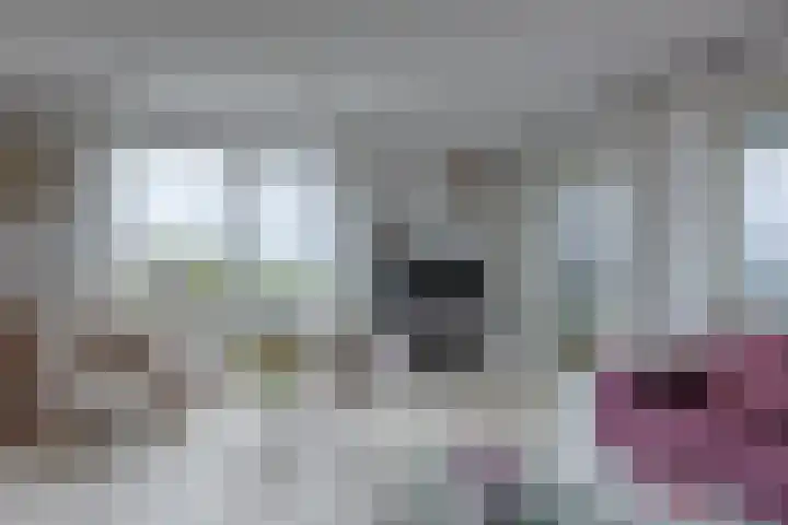 Engelendaal 100 Leiderdorp thumbnail 17