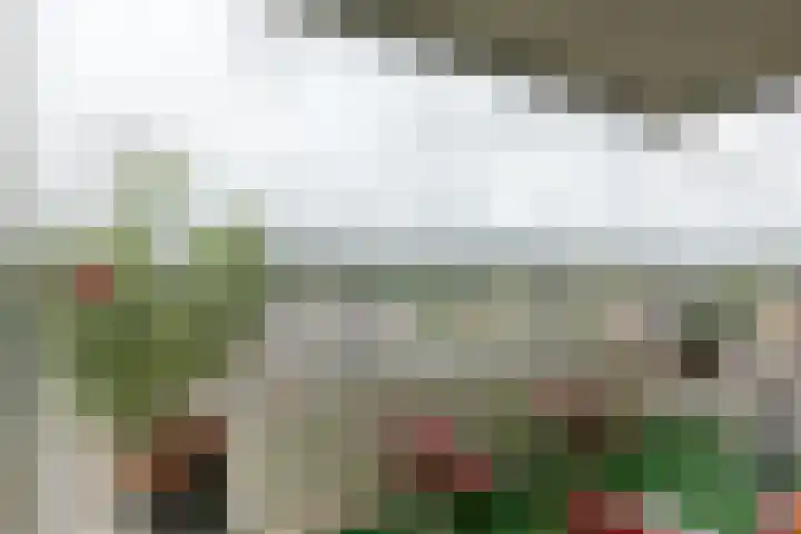 Engelendaal 100 Leiderdorp thumbnail 20