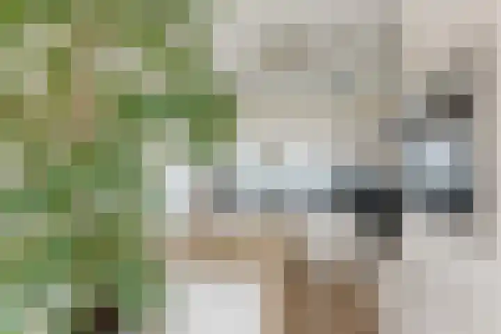 Engelendaal 100 Leiderdorp thumbnail 4