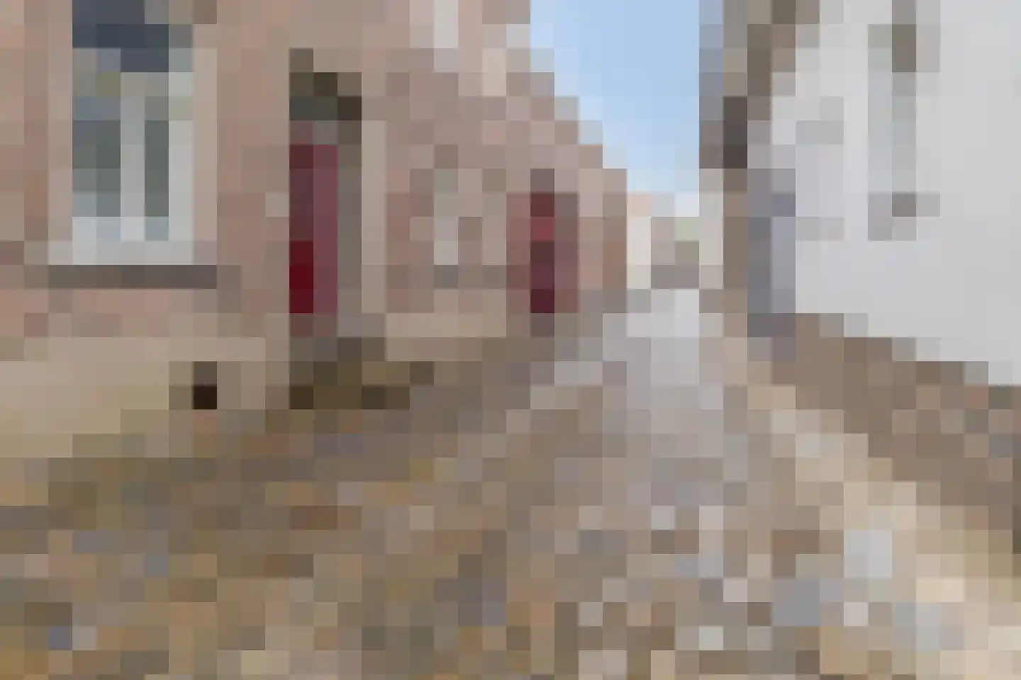 Engelenhof 20 Sittard thumbnail 26