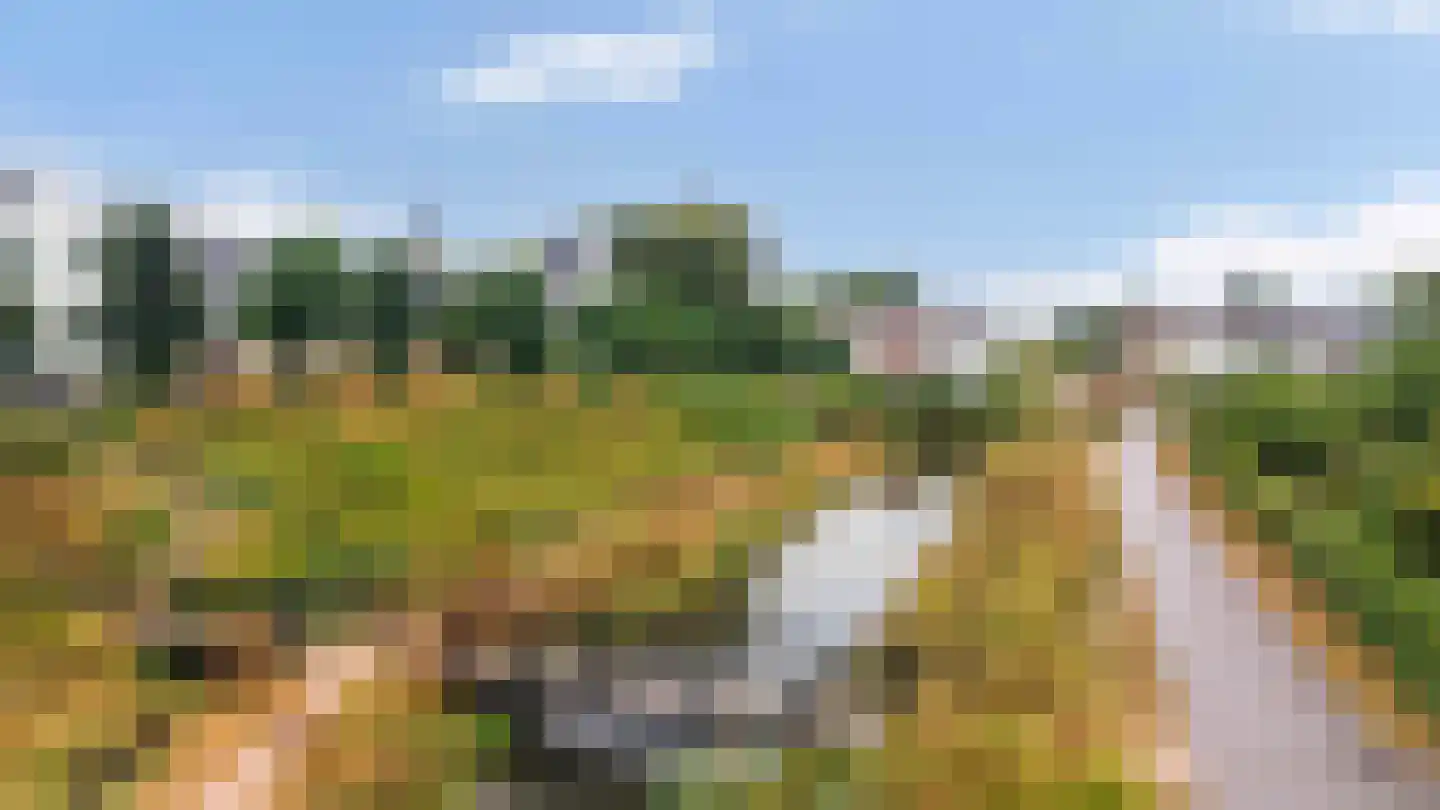 Engelenhof 20 Sittard thumbnail 28