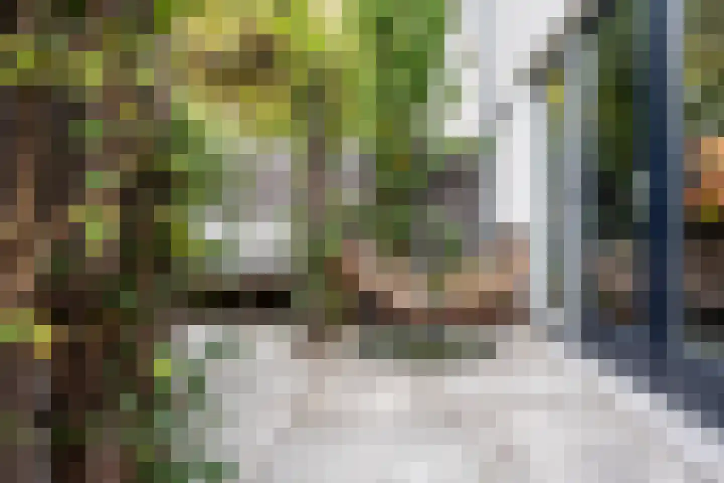 Engelenhof 25 Sittard thumbnail 12
