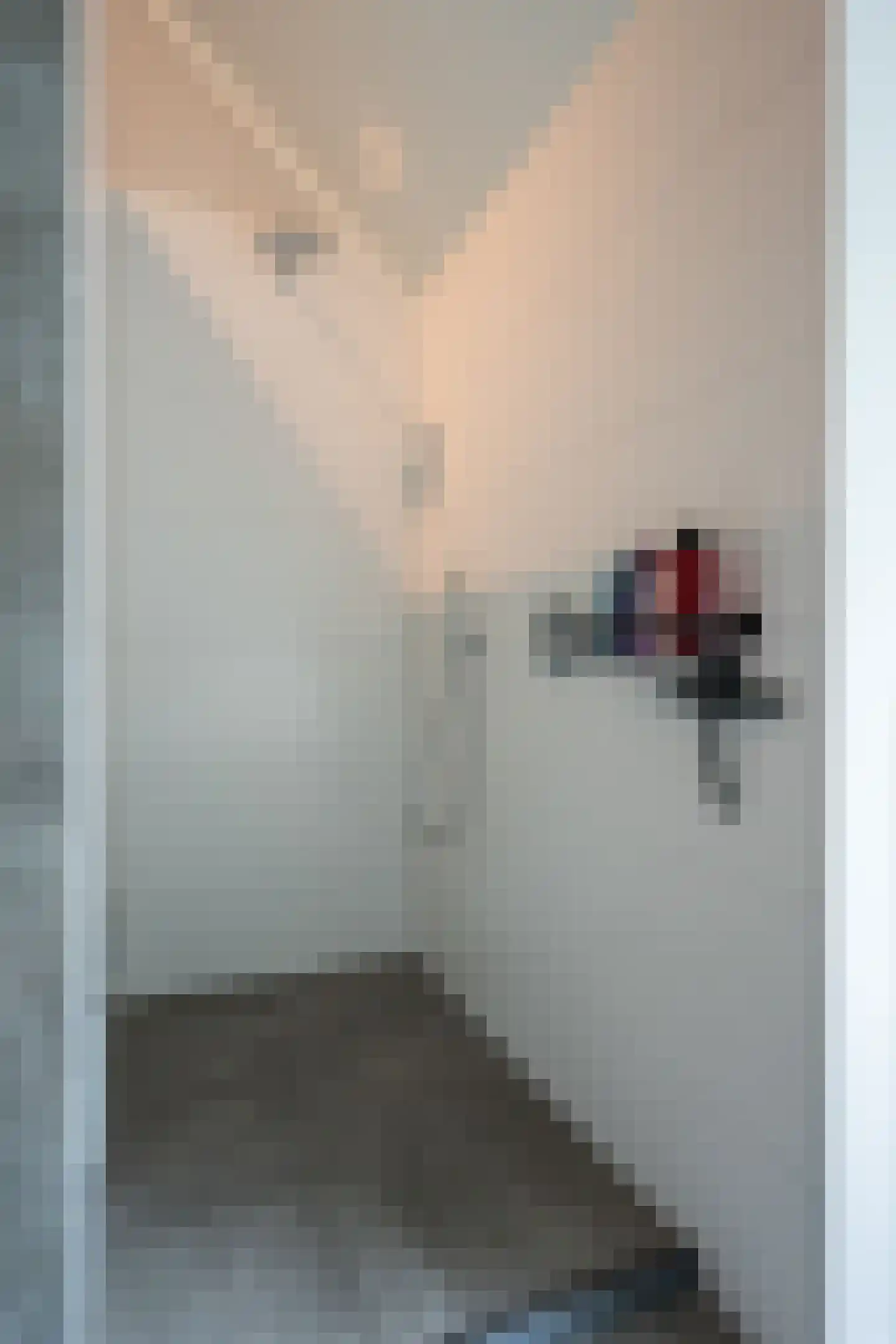 Engelenhof 25 Sittard thumbnail 36