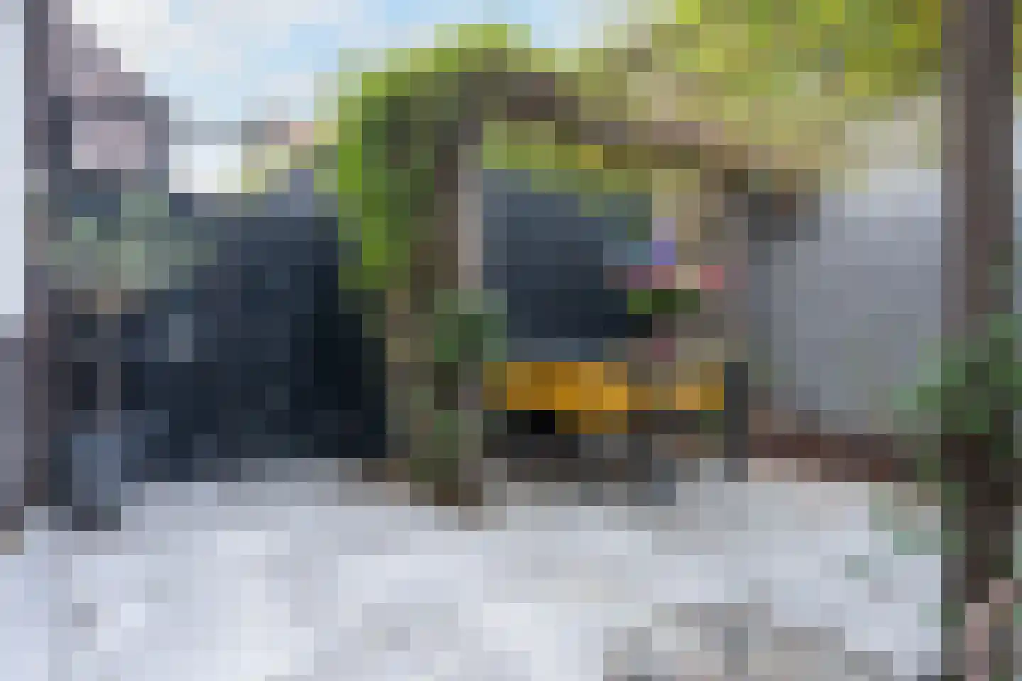 Engelenhof 25 Sittard thumbnail 39