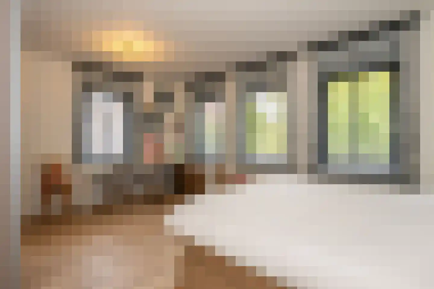 Engelenhof 25 Sittard thumbnail 6