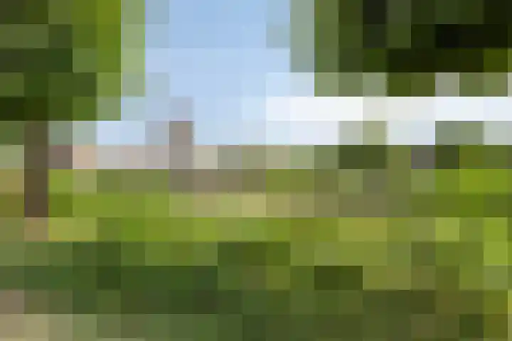 Engelenhof 3 Sittard thumbnail 20