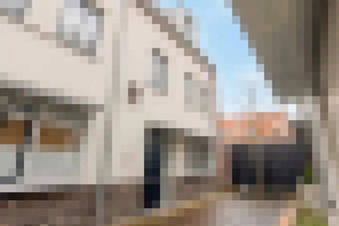 Engelenhof 6 in Sittard