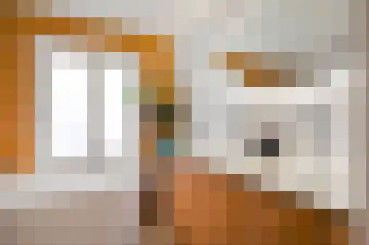 Engelenkampstraat 3 Sittard thumbnail 30