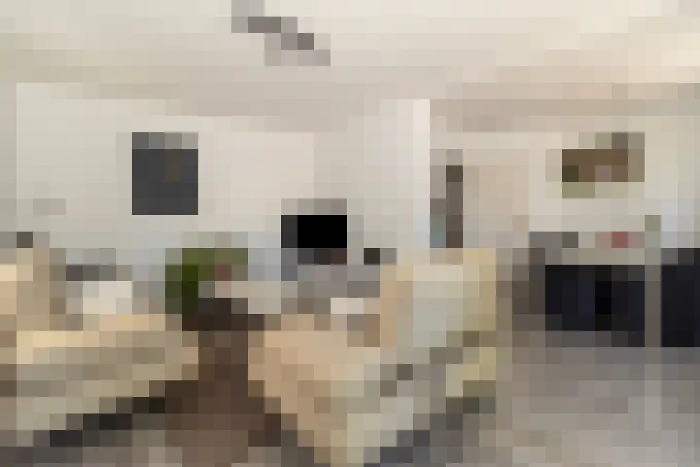 Engelenkampstraat 35 Sittard thumbnail 15