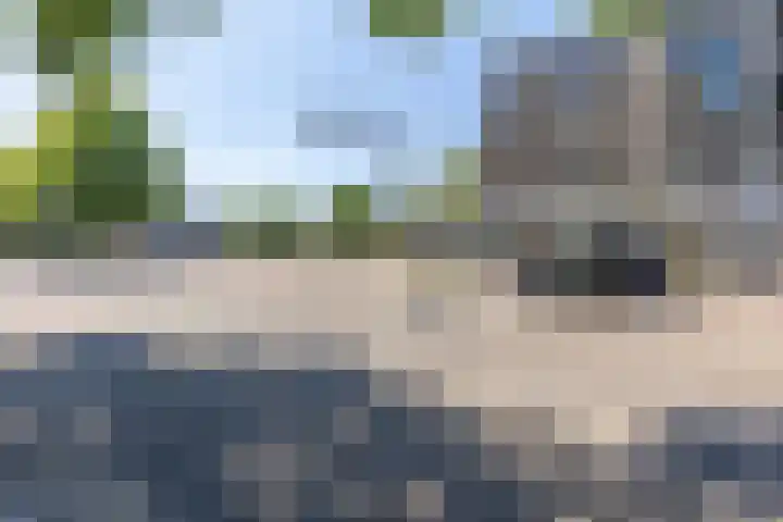 Engelenkampstraat 50 Sittard thumbnail 7