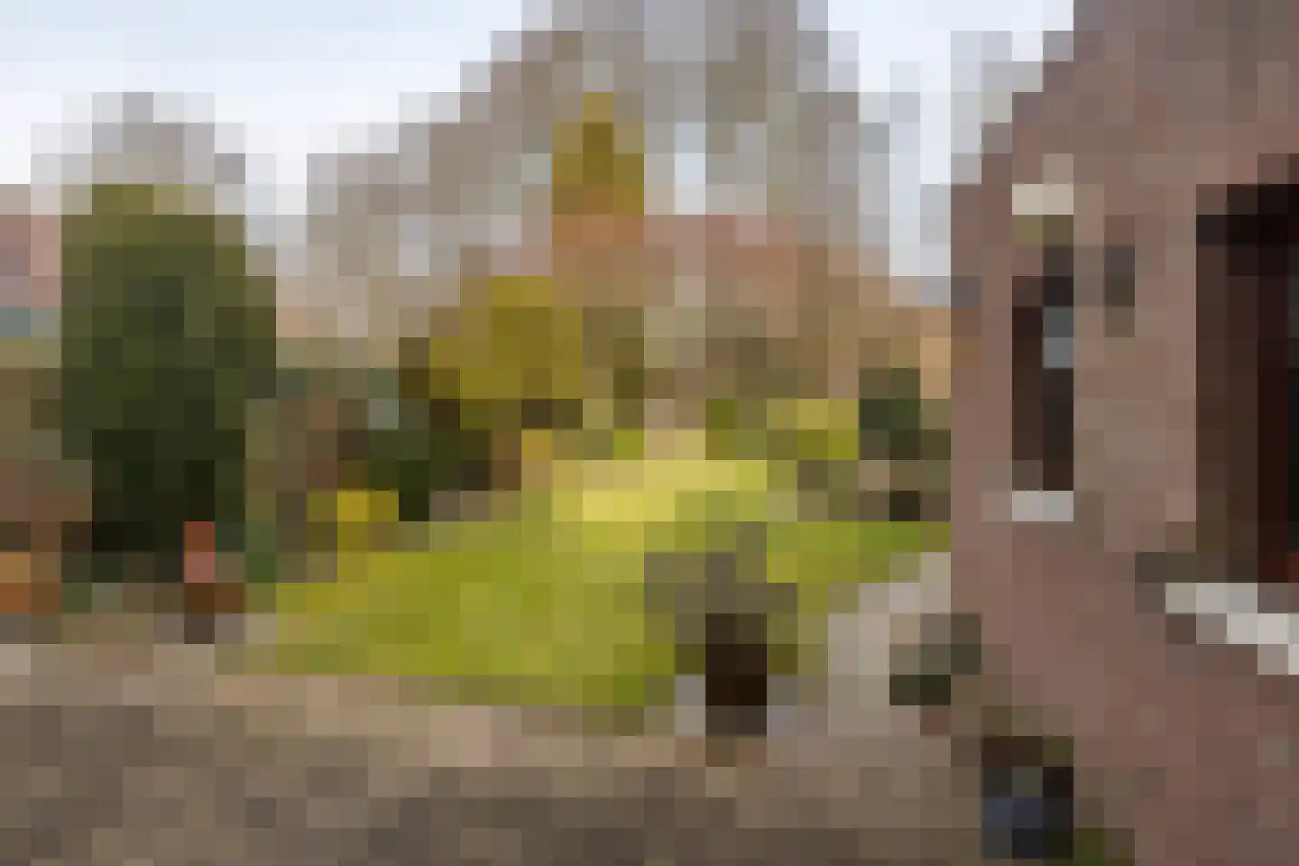 Engelenkampstraat 7 Sittard thumbnail 28