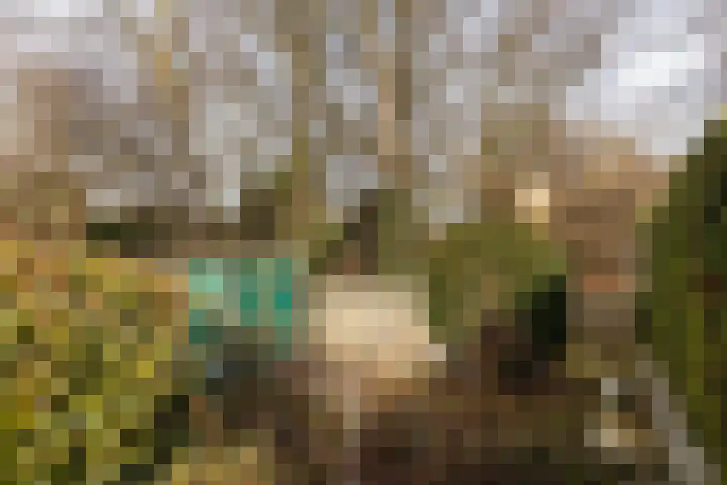 Engelenkampstraat 7 Sittard thumbnail 32