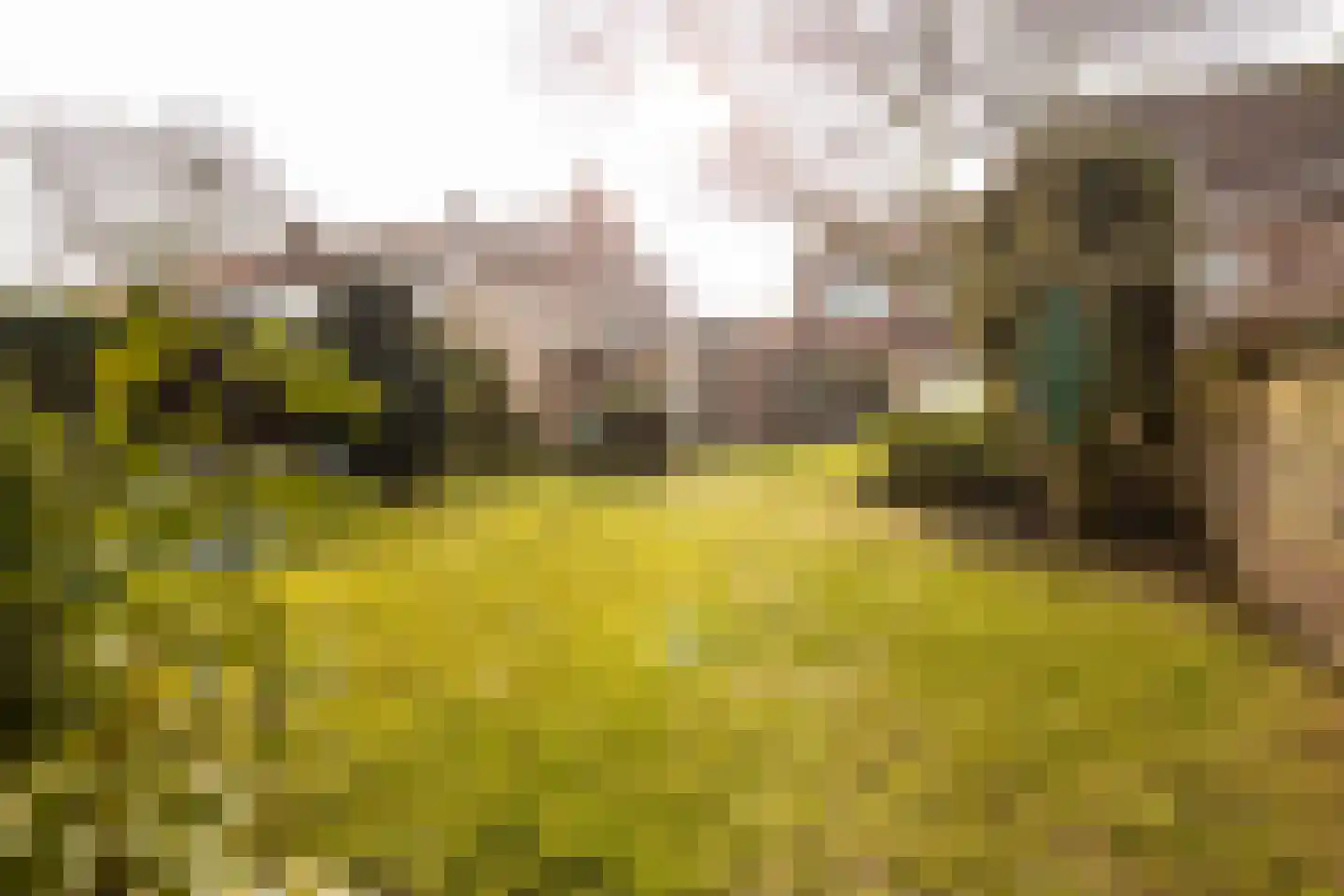 Engelenkampstraat 7 Sittard thumbnail 34