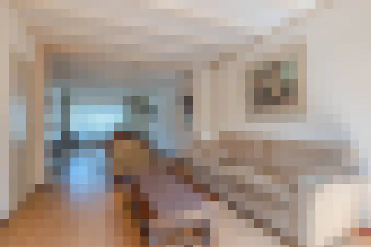 Engelenstraat 23 Venray thumbnail 12