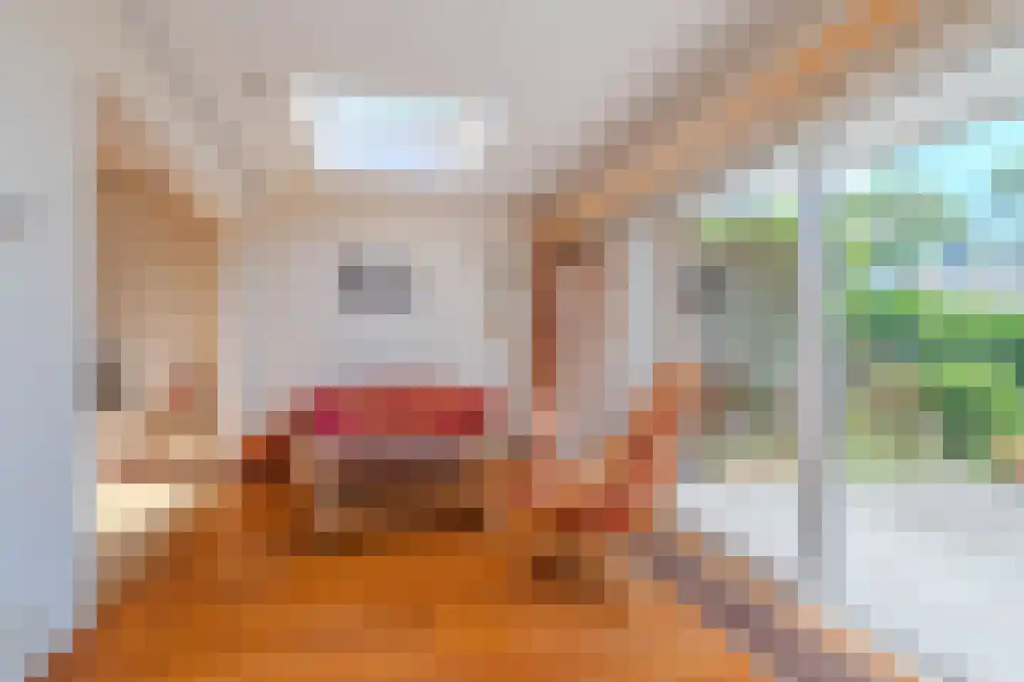 Engelenstraat 23 Venray thumbnail 16
