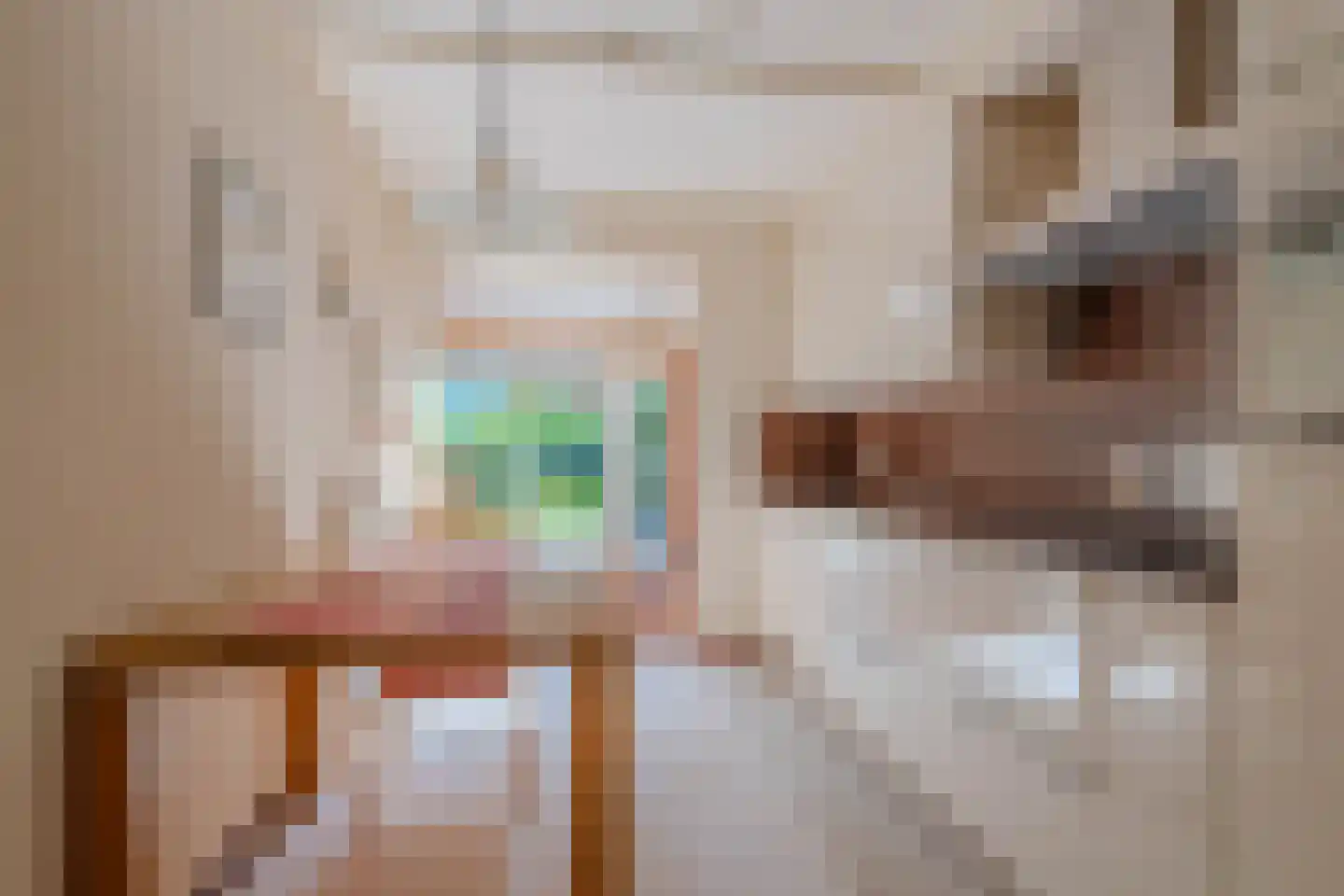 Engelenstraat 23 Venray thumbnail 20