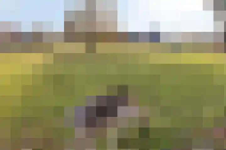 Engelenweg 24 Loenen thumbnail 32