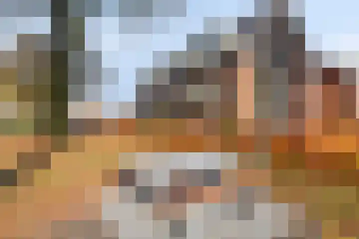 Engelenweg 24 Loenen thumbnail 4