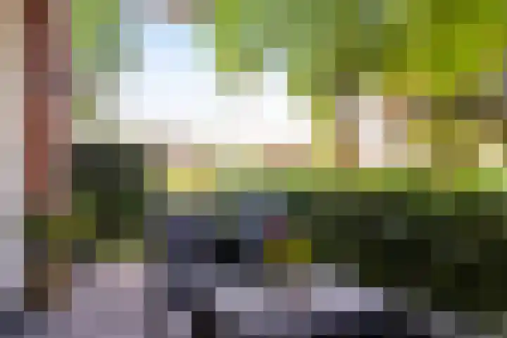 Engelenweg 28 Loenen thumbnail 23