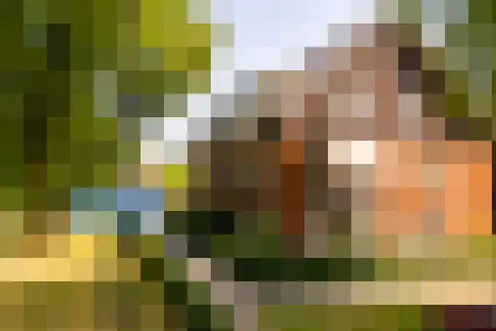 Engelenweg 28 Loenen thumbnail 27