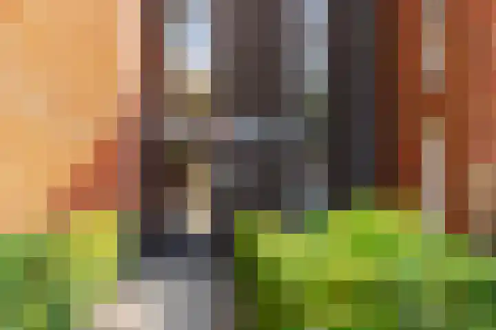 Engelenweg 28 Loenen thumbnail 7