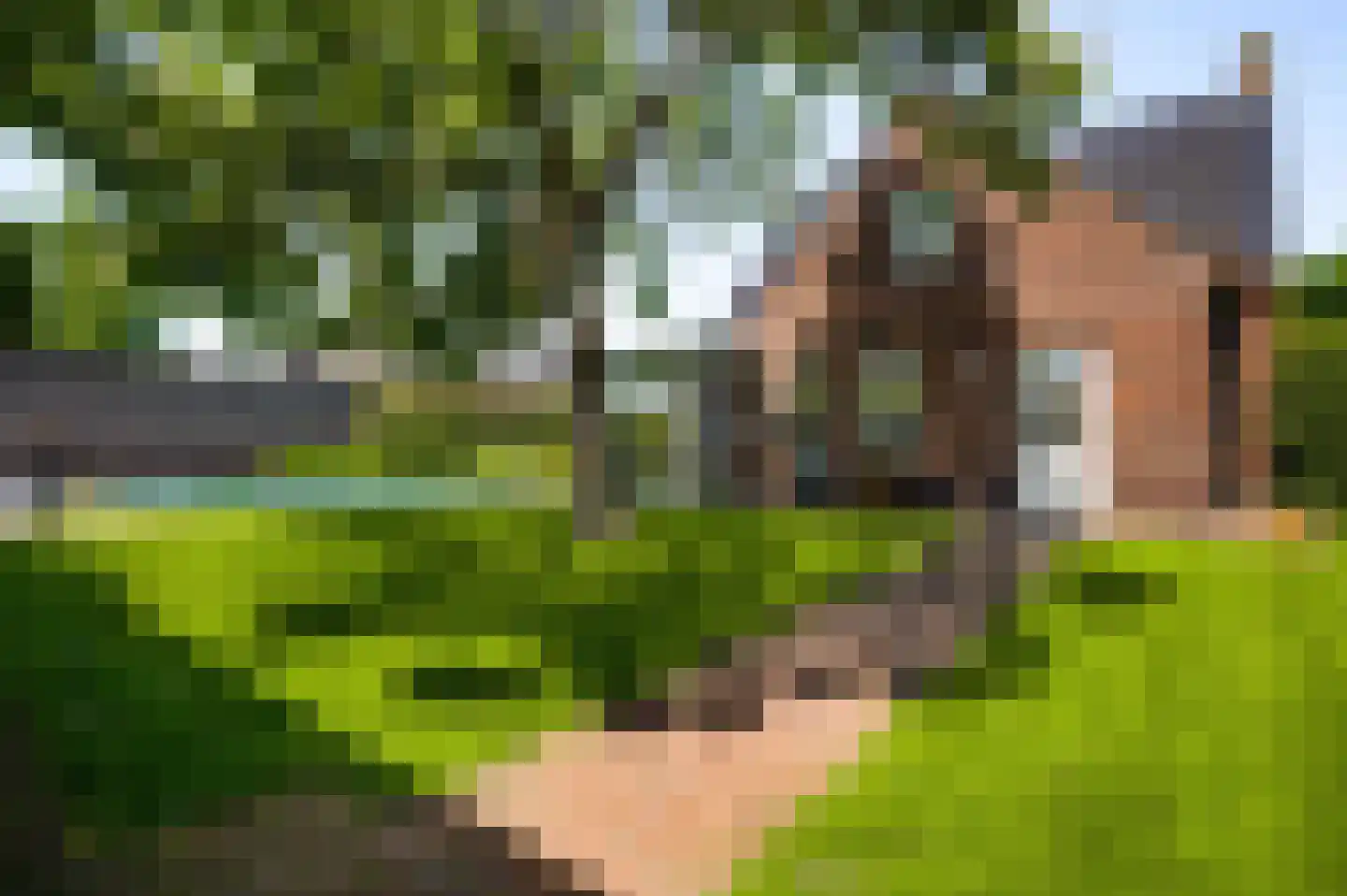 Engelerveld 16 Horst thumbnail 39