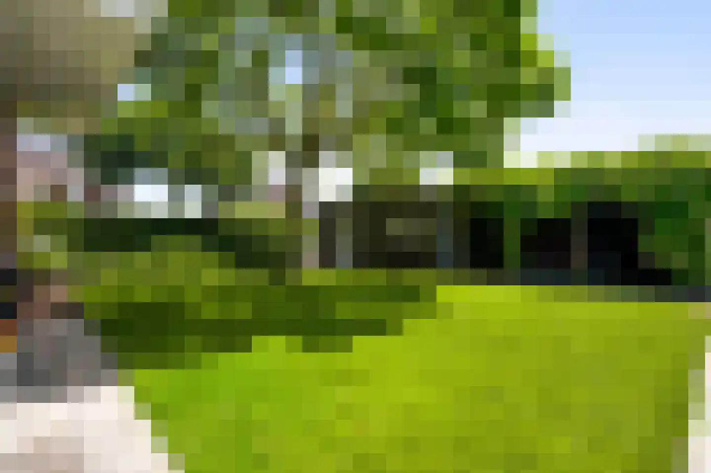 Engelerveld 16 Horst thumbnail 43