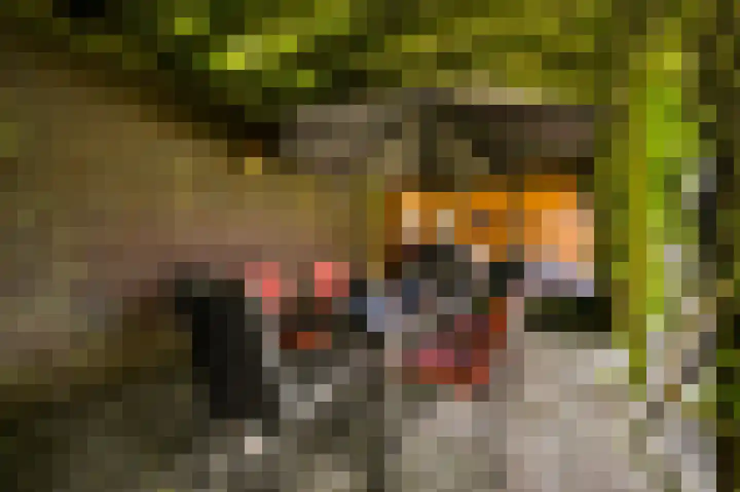 Engelerveld 16 Horst thumbnail 50