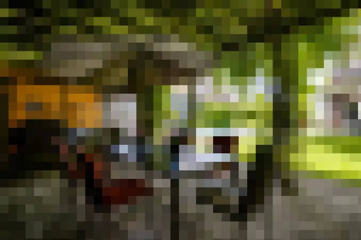 Engelerveld 16 Horst thumbnail 51