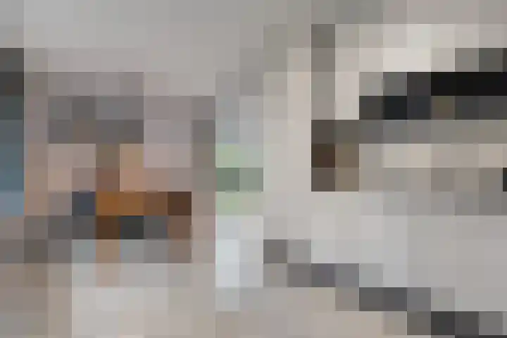 Engelgaarde 15 Meppel thumbnail 15