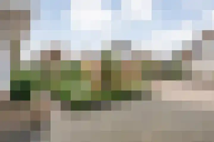 Engelgaarde 15 Meppel foto 2