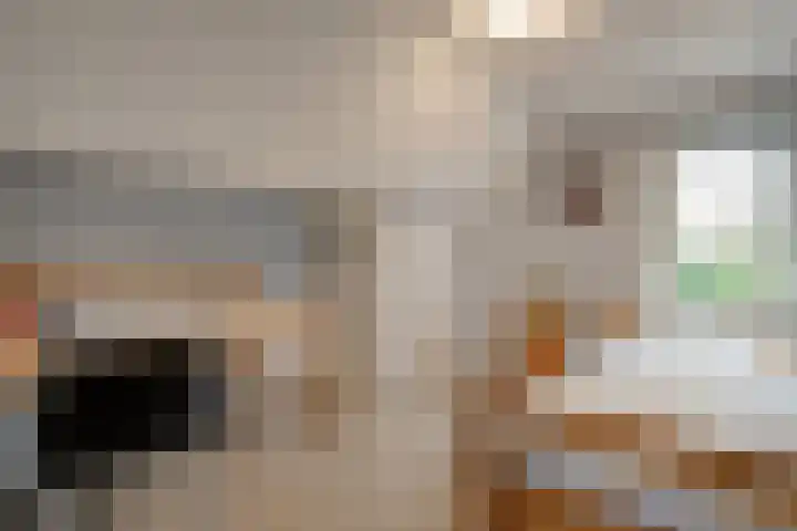 Engelgaarde 15 Meppel thumbnail 30