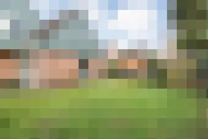 Engelgaarde 15 Meppel thumbnail 41