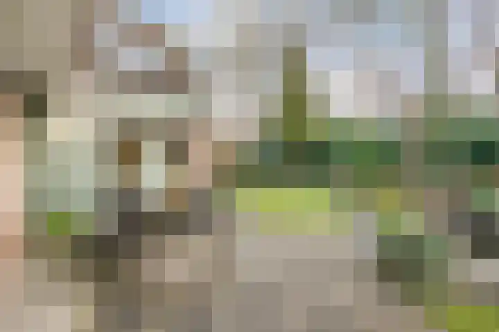 Engelgaarde 15 Meppel thumbnail 43