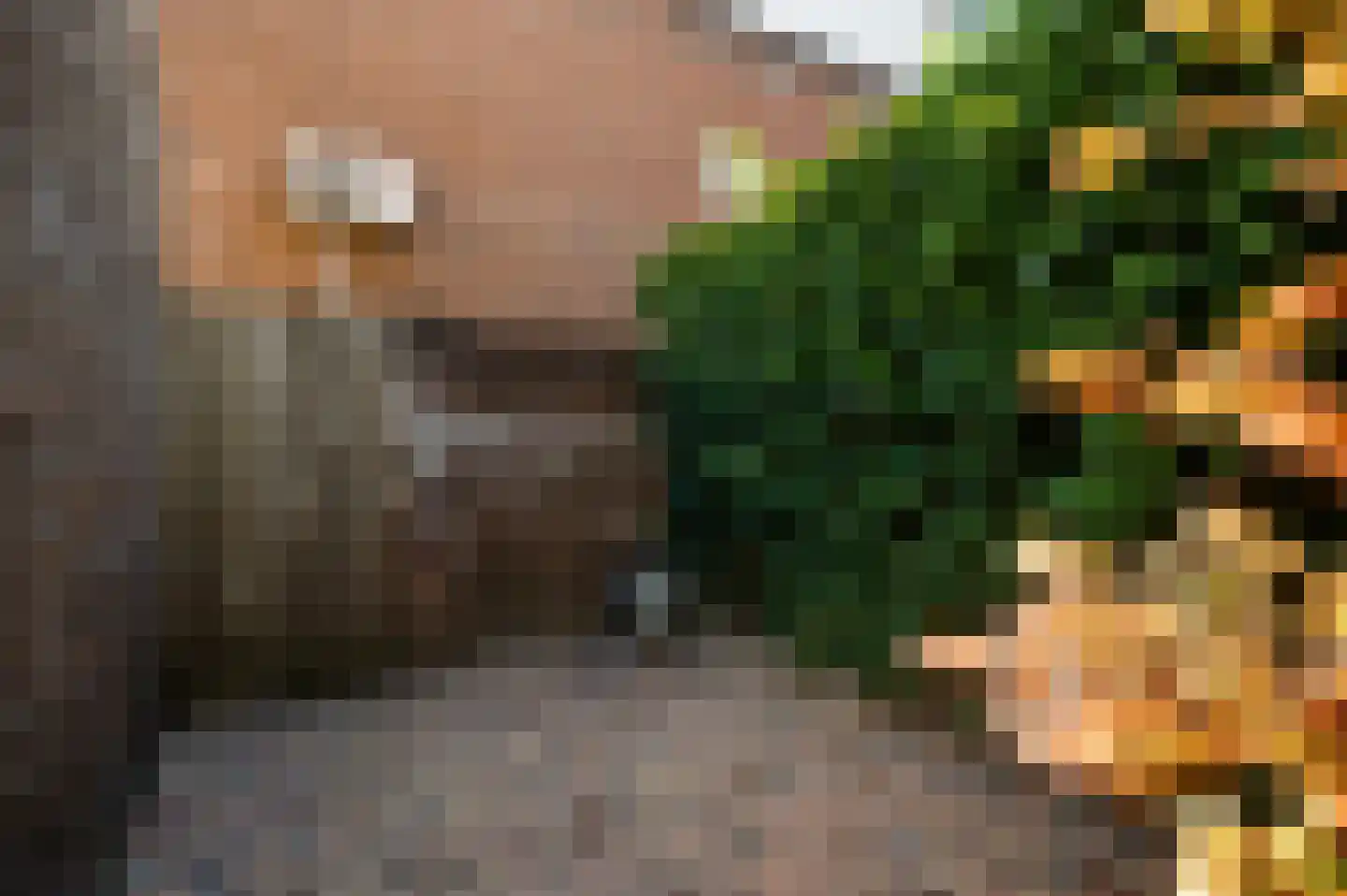 Engeliena Schaapstraat 28 Venlo thumbnail 30