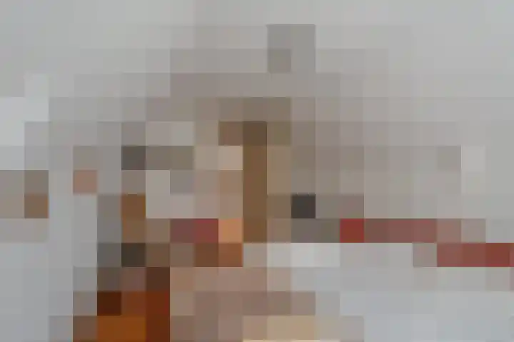 Engelkeslaan 13 Westerlee thumbnail 25